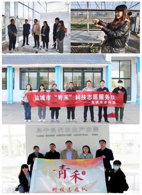 經(jīng)作室赴阜寧新溝鎮(zhèn)開展“青禾”科技志愿服務活動，助力鹽城農(nóng)業(yè)推廣服務