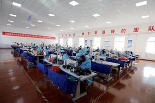 特色產(chǎn)業(yè)引領致富路——宜君縣與鹽城推廣服務的融合發(fā)展